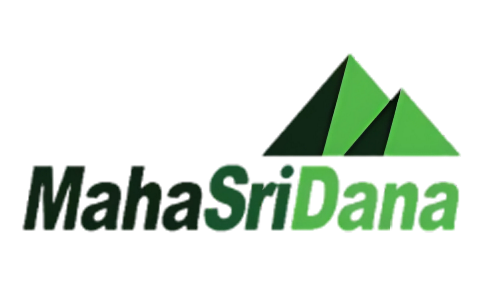 website development